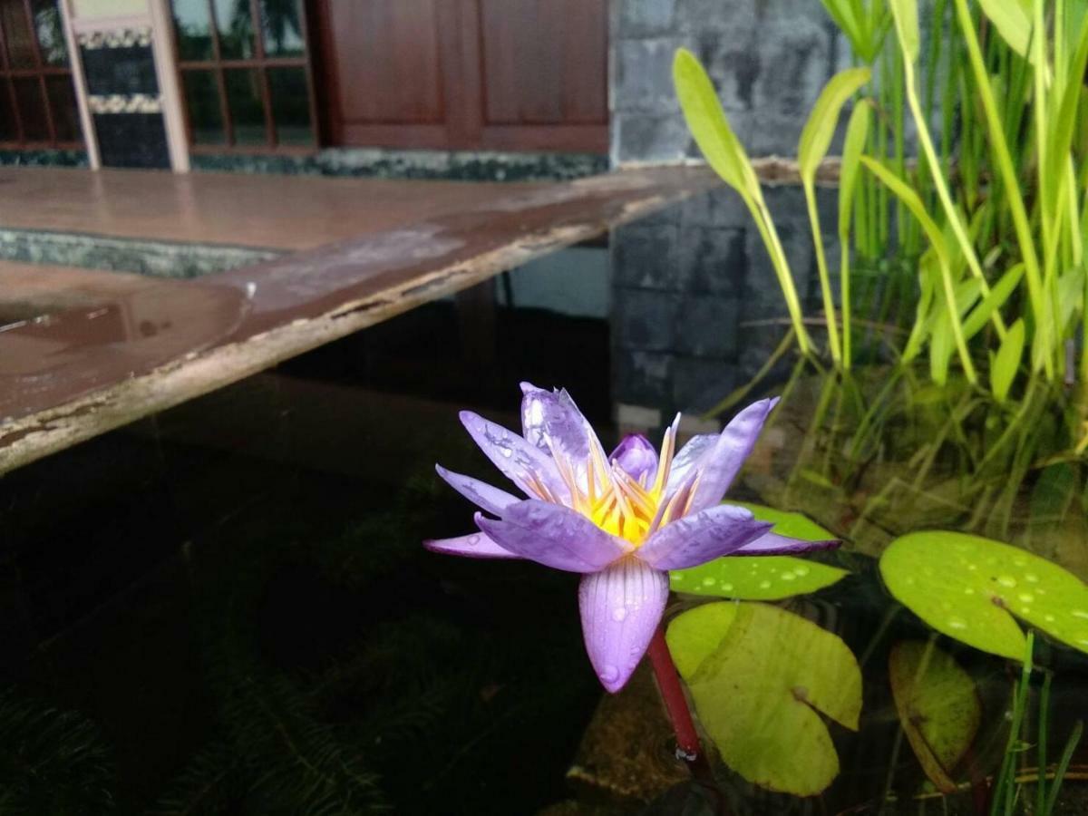 Northstar Hotel & Resort Ban Mae Kon Bagian luar foto